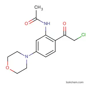 Molecular Structure of 404010-95-3 (Acetamide,  N-[2-(chloroacetyl)-5-(4-morpholinyl)phenyl]-  (9CI))
