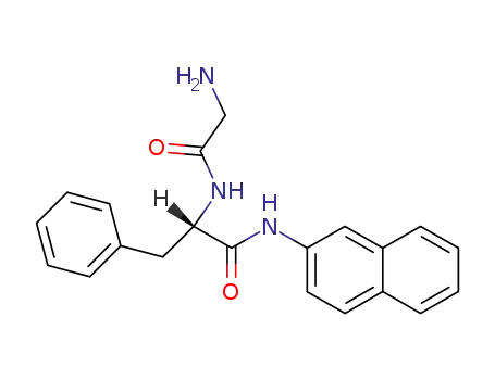 Molecular Structure of 21438-66-4 (GLY-PHE BETA-NAPHTHYLAMIDE)