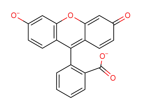 Molecular Structure of 53677-98-8 (fluorescein dianion)