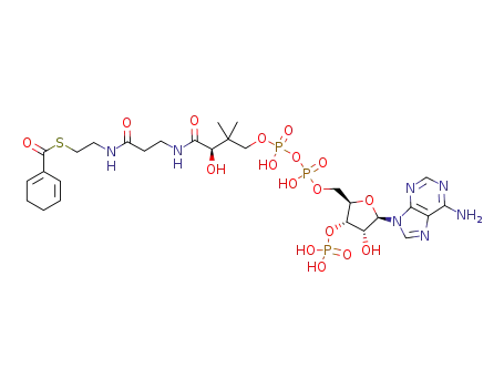 Molecular Structure of 148471-94-7 (S-{1-[(2R,3S,4R,5R)-5-(6-amino-9H-purin-9-yl)-4-hydroxy-3-(phosphonooxy)tetrahydrofuran-2-yl]-3,5,9-trihydroxy-8,8-dimethyl-3,5-dioxido-10,14-dioxo-2,4,6-trioxa-11,15-diaza-3lambda~5~,5lambda~5~-diphosphaheptadecan-17-yl} cyclohexa-1,5-diene-1-carbothioat)