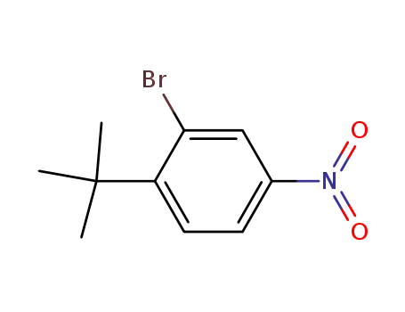 Molecular Structure of 6310-17-4 (2-bromo-4-nitro-1-tert-butyl-benzene)