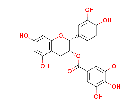 (-)-Epicatechin-3-(3''-O-methyl) gallate CAS No:83104-86-3