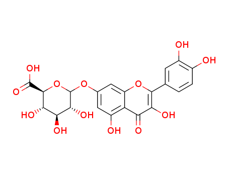 Quercetin 7-O-beta-D-Glucuronide