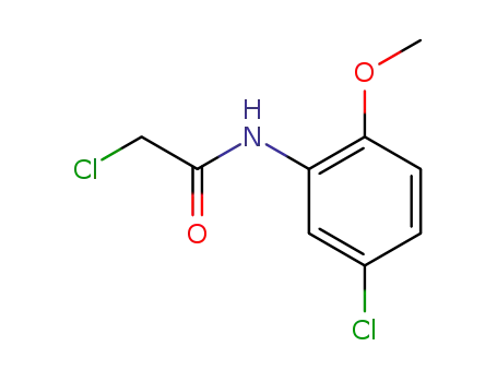 Molecular Structure of 35588-41-1 (2-CHLORO-N-(5-CHLORO-2-METHOXYPHENYL)ACETAMIDE)