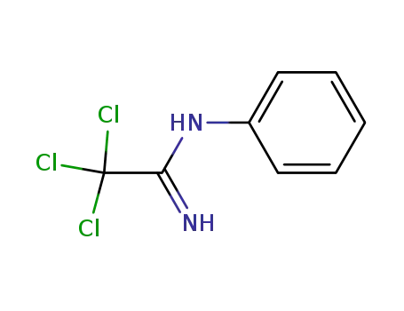 Ethanimidamide, 2,2,2-trichloro-N-phenyl-
