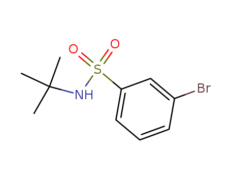 N-tert-Butyl 3-bromobenzenesulfonamide
