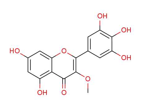 미리세틴 3-메틸에테르