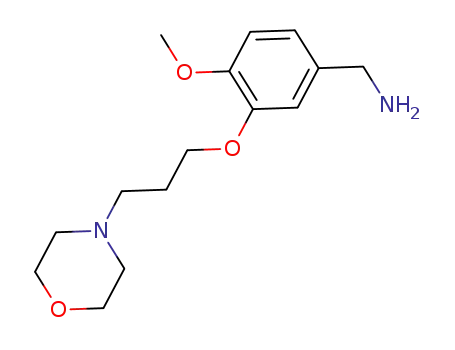 4-methoxy-3-(3-morpholin-4-yl-propoxy)-benzylamine