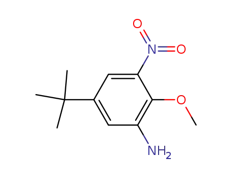 Molecular Structure of 404010-31-7 (Benzenamine, 5-(1,1-dimethylethyl)-2-methoxy-3-nitro-)