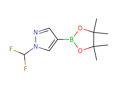 1-(difluoromethyl)-4-(4,4,5,5-tetramethyl-1,3,2-dioxaborolan-2-yl)-1H-pyrazole CAS No.1206640-82-5