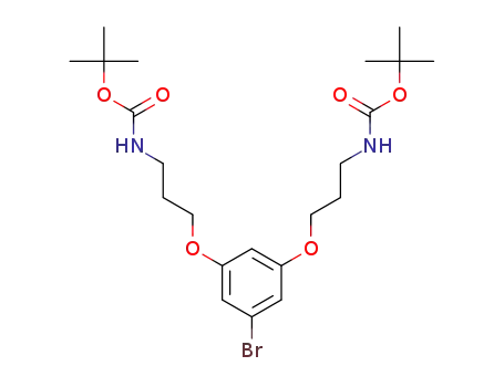 Molecular Structure of 1382469-16-0 (C<sub>22</sub>H<sub>35</sub>BrN<sub>2</sub>O<sub>6</sub>)
