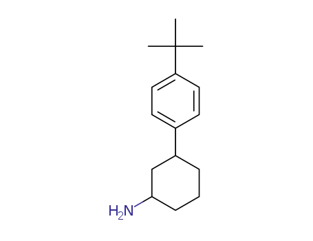 3-(4-tert-butylphenyl)cyclohexanamine