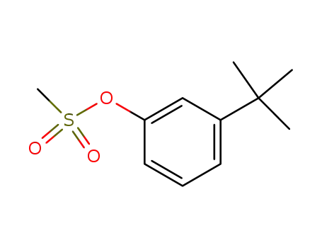 Molecular Structure of 1071592-74-9 (3-tert-butylphenyl mesylate)