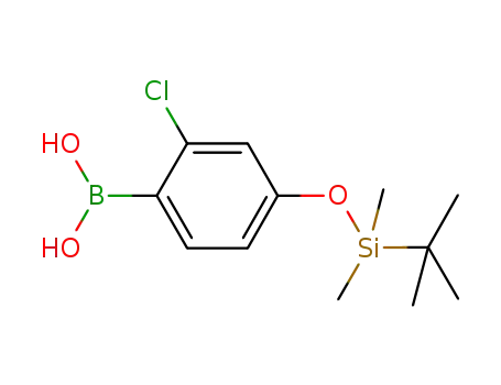 Molecular Structure of 412343-21-6 (2-CHLORO-4-(((1,1-DIMETHYLETHYL)DIMETHYLSILYL)OXY) PHENYLBORONIC ACID)
