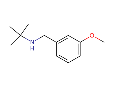 Best price/ N-(3-methoxybenzyl)-2-methyl-2-propanamine(SALTDATA: HCl)  CAS NO.207349-84-6