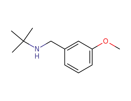 N-(tert-부틸)-N-(3-메톡시벤질)아민