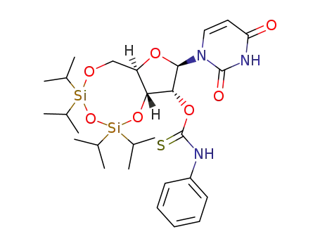 5',3'-O-(tetraisopropyldisiloxane-1,3-diyl)-2'-O-(phenylaminecarbothioate)uridine