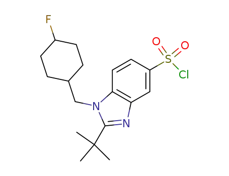 Molecular Structure of 952675-18-2 (2-tert-butyl-1-[(4-fluorocyclohexyl)methyl]-1H-benzimidazole-5-sulfonyl chloride)