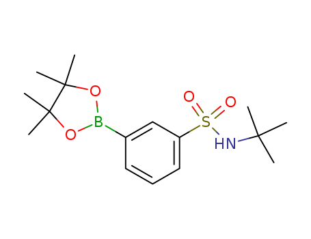 t-butylamino-sulfonyl-phenylboronic acid pinacol ester