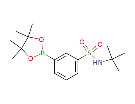 Molecular Structure of 706820-95-3 (3-(tert-butylaMino)sulfonyl-phenylboronic acid pinacol ester)