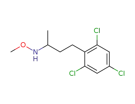 O-methyl-N-[1-methyl-3-(2,4,6-trichloro-phenyl)-propyl]-hydroxylamine