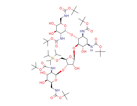 C<sub>62</sub>H<sub>114</sub>N<sub>6</sub>O<sub>25</sub>Si