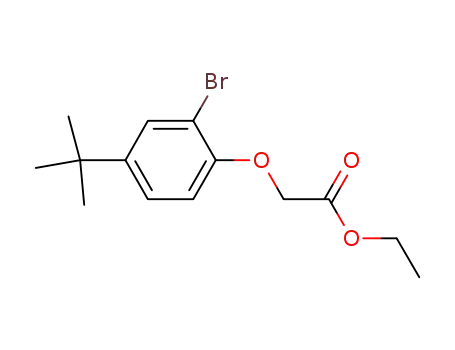 Molecular Structure of 953091-05-9 ((2-bromo-4-tert-butyl-phenoxy)-acetic acid ethyl ester)