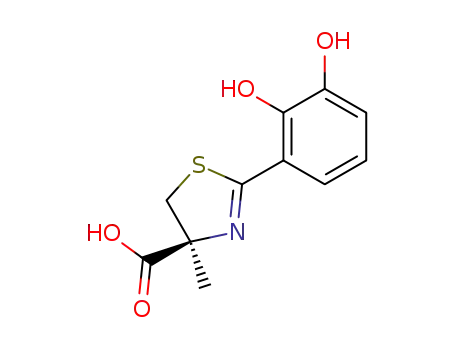 Molecular Structure of 847355-88-8 (4-Thiazolecarboxylic acid,
2-(2,3-dihydroxyphenyl)-4,5-dihydro-4-methyl-, (4S)-)
