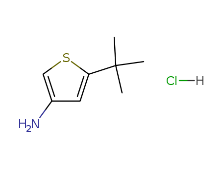 3-Amino-5-tert-butylthiophene hydrochloride