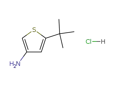 Molecular Structure of 75782-77-3 (3-Amino-5-tert-butylthiophene hydrochloride)