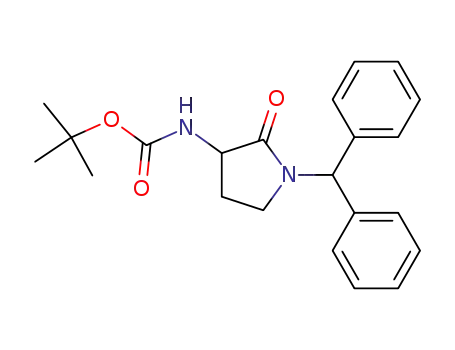 Molecular Structure of 861104-96-3 ((1-benzhydryl-2-oxo-pyrrollidin-3-yl)-carbamic acid tert-butyl ester)
