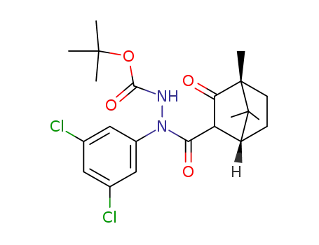 Molecular Structure of 928053-58-1 (Bicyclo[2.2.1]heptane-2-carboxylic acid, 4,7,7-trimethyl-3-oxo-,
1-(3,5-dichlorophenyl)-2-[(1,1-dimethylethoxy)carbonyl]hydrazide,
(1R,4R)-)