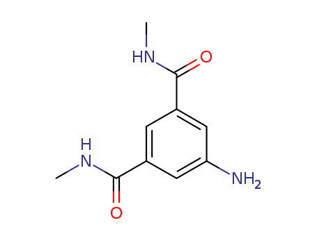 5-amino-N,N'-dimethylisophthalamide(SALTDATA: FREE)