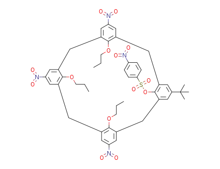 23-tert-butyl-5,11,17-trinitro-25-(p-nitrobenzenesulfonyloxy)-26,27,28-tripropoxycalix[4]arene