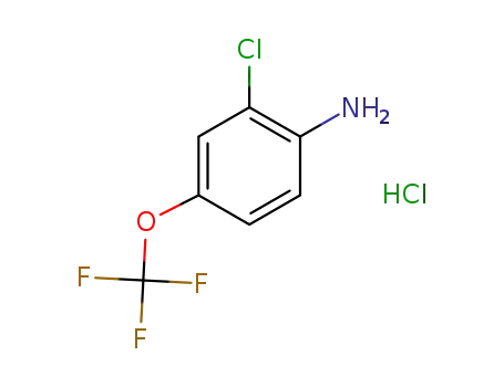 2-클로로-4-(트리플루오로메톡시)아닐린, HCl