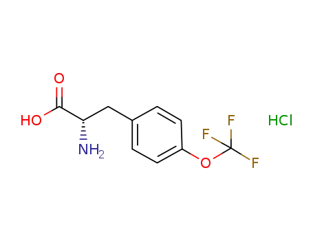 Molecular Structure of 921609-34-9 ((S)-2-Amino-3-(4-(trifluoromethoxy)phenyl)propanoic acid hydrochloride)