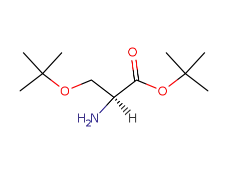 Molecular Structure of 48067-24-9 (H-SER(TBU)-OTBU)