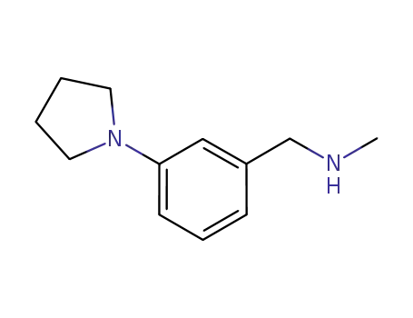 N-METHYL-N-(3-PYRROLIDIN-1-YLBENZYL)아민
