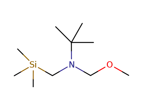 N-(메톡시메틸)-2-메틸-N-[(트리메틸실릴)-메틸]-2-프로판아민