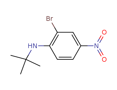2-Bromo-N-t-butyl-4-nitroaniline