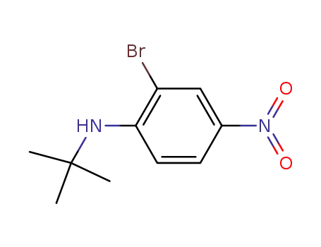 Molecular Structure of 952664-76-5 (2-Bromo-N-t-butyl-4-nitroaniline)