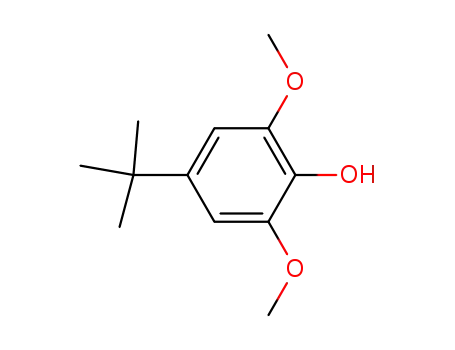 2,6-디메톡시-4-tert-부틸페놀