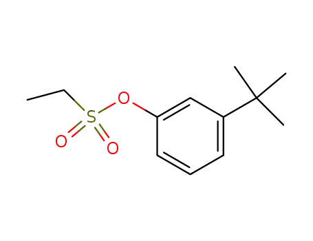 Molecular Structure of 1071592-79-4 (3-tert-butylphenyl ethanesulfonate)