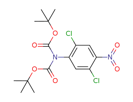 Molecular Structure of 1301264-10-7 (di-tert-butyl-2,5-dichloro-4-nitrophenylimidodicarbonate)