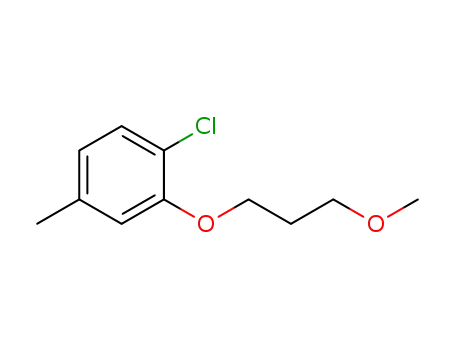Molecular Structure of 1000045-32-8 (1-chloro-2-(3-methoxy-propoxy)-4-methyl-benzene)