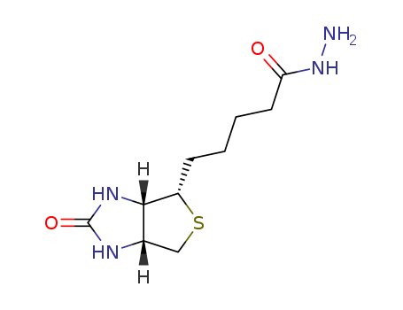 (+)-Biotin hydrazide;Biotin hydrazide