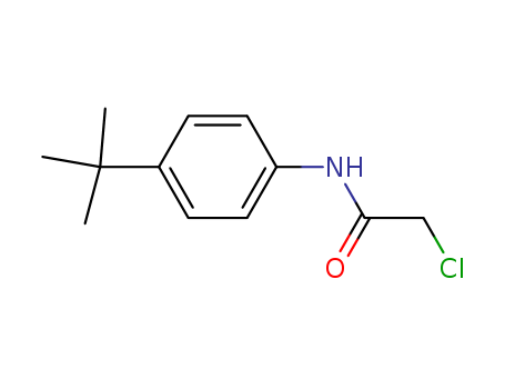 N1-[4-(TERT-BUTYL)PHENYL]-2-CHLOROACETAMIDE