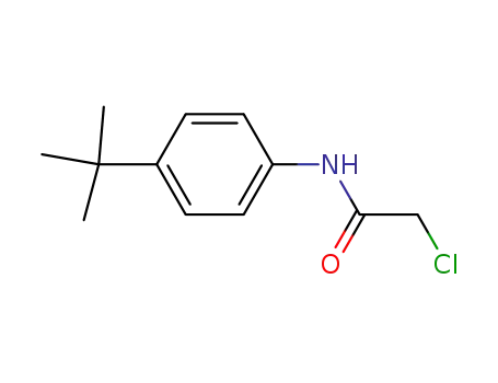 N1- [4- (TERT-BUTYL) 페닐] -2- 클로로 아 세타 미드