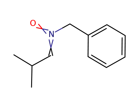 N-(2-methylpropylidene)benzylamine-N-oxide