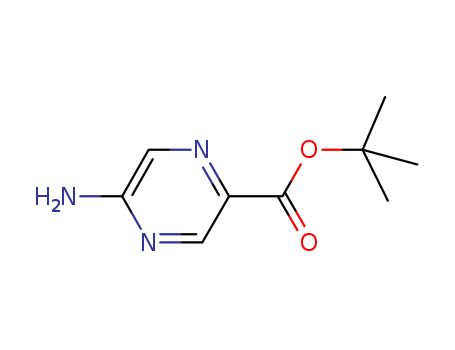 Pyrazinecarboxylic acid, 5-amino-, 1,1-dimethylethyl ester (9CI)